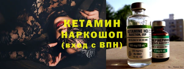 индика Богданович