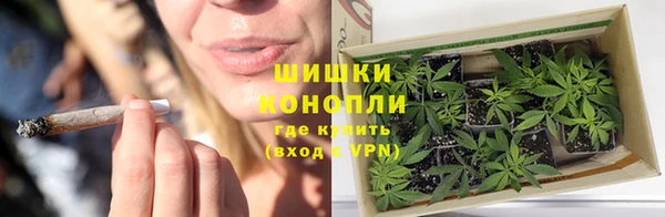 кокаин перу Дмитриев