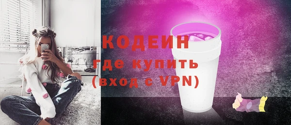 индика Богданович