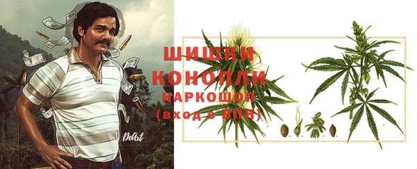 индика Богданович