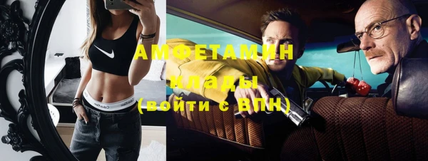 индика Богданович