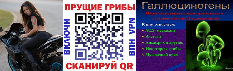 Галлюциногенные грибы мухоморы  цены наркотик  Вилючинск 