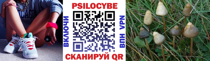 Псилоцибиновые грибы GOLDEN TEACHER Вилючинск